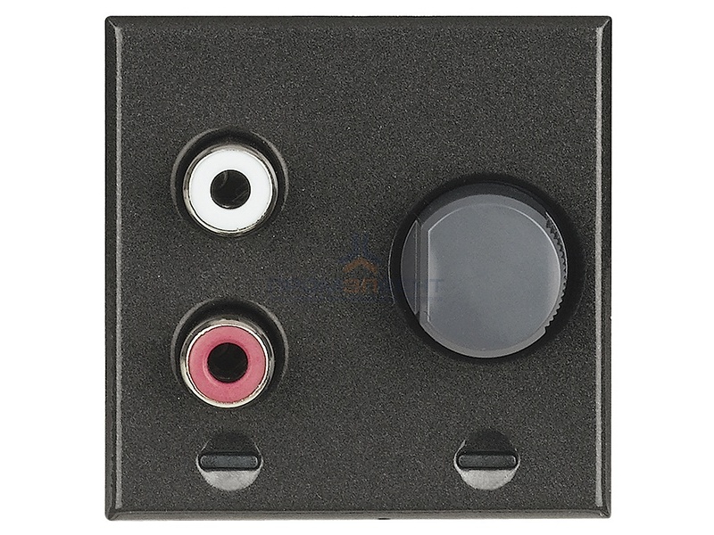 Axolute Встраиваемый разъем RCA для подключения к внешней стереосистеме – 2 модуля Axolute, цвет ант