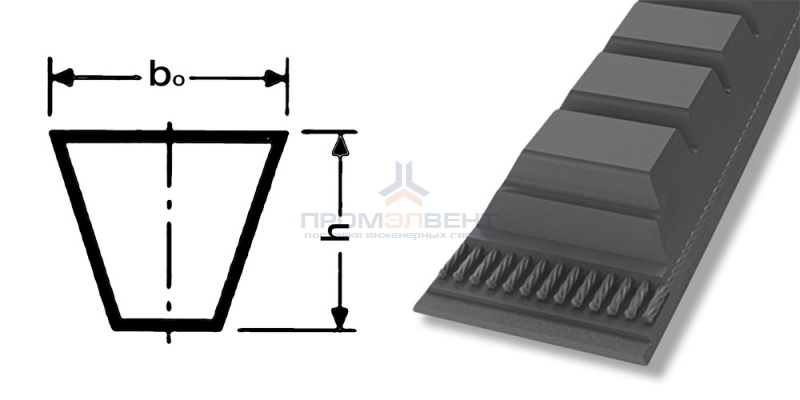 ремень xpa 2900
