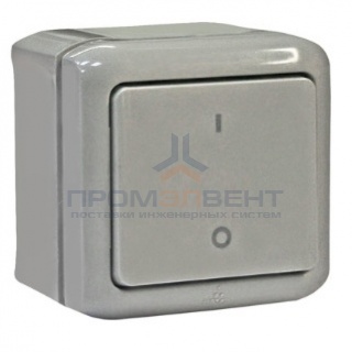 Выключатель двухполюсный IP44 Legrand Quteo серый