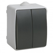ВС20-2-0-ФСр Выключатель двухклавишный для открытой установки IP54