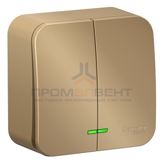 Выключатель 2-клавишный с подсветкой (cх.5) Blanca Schneider Electric 10А 250В титан изол.пластина