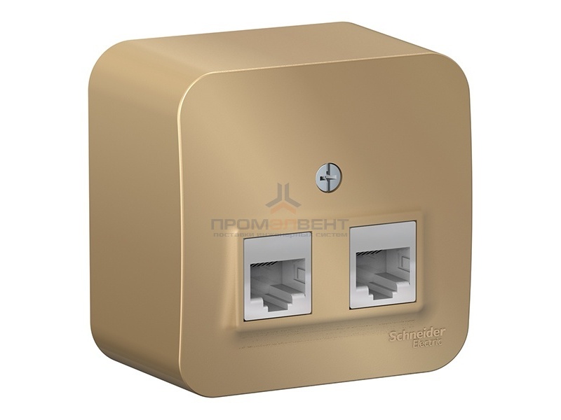 Розетка двойная RJ45 + RJ11 Blanca Schneider Electric титан изол.пластина