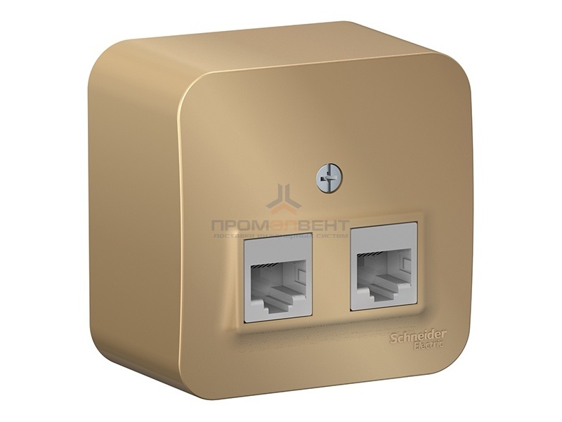 Розетка 2-ая компьютерная RJ45 кат.5E Blanca Schneider Electric титан изол.пластина