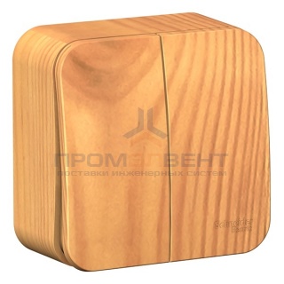 Выключатель 2-клавишный (cх.5) Blanca Schneider Electric 10А 250В ясень изол.пластина