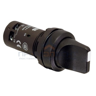 Переключатель ABB C2SS2-30B-11 2-х позиционный черный 1НО1НЗ (90 гра дусов) с фиксацией